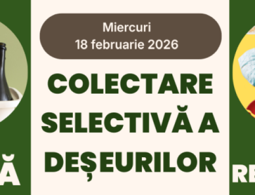 Colectare selectivă a deșeurilor