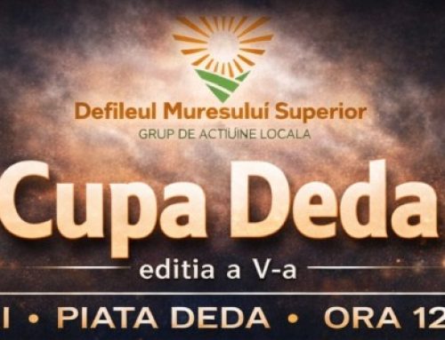 Cupa DEDA la box- ediția a V-a