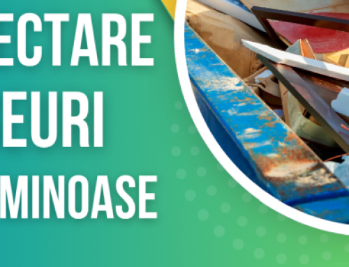 Colectare deșeuri voluminoase din poartă în poartă în toate satele comunei Deda