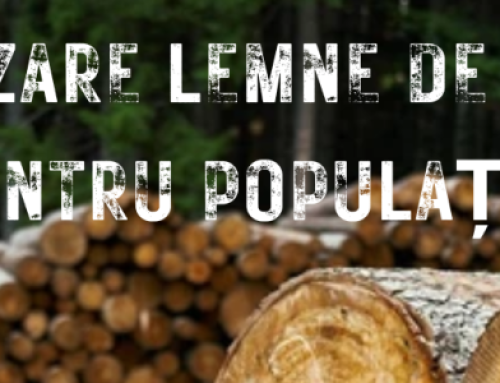 Vânzare lemne de foc pentru populație
